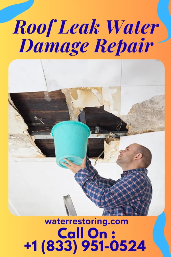 Roof Leak Water Damage Repair in Scottsville, NY