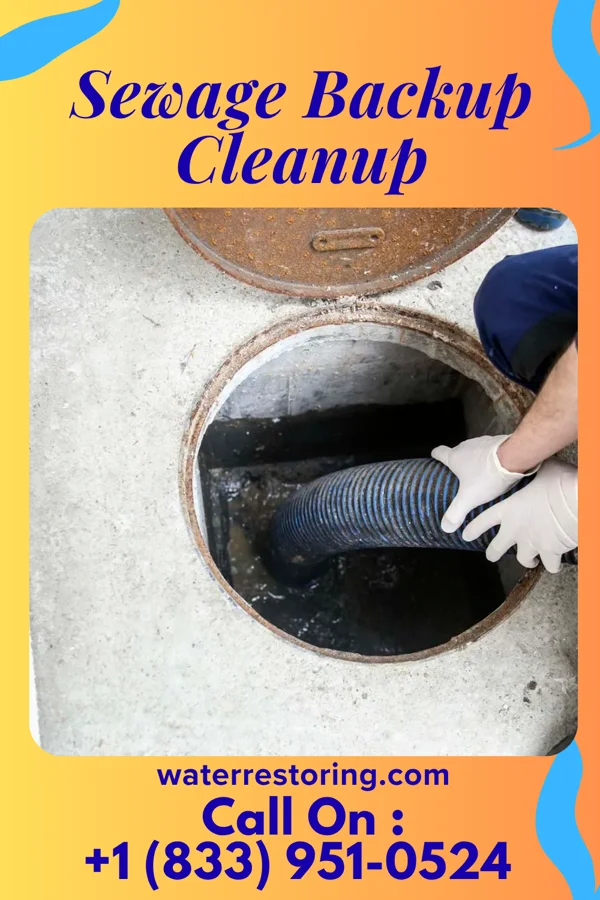 Sewage Backup Cleanup in Scottsville, NY
