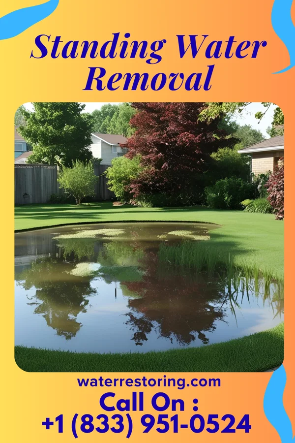 Standing Water Removal in Scottsville, NY